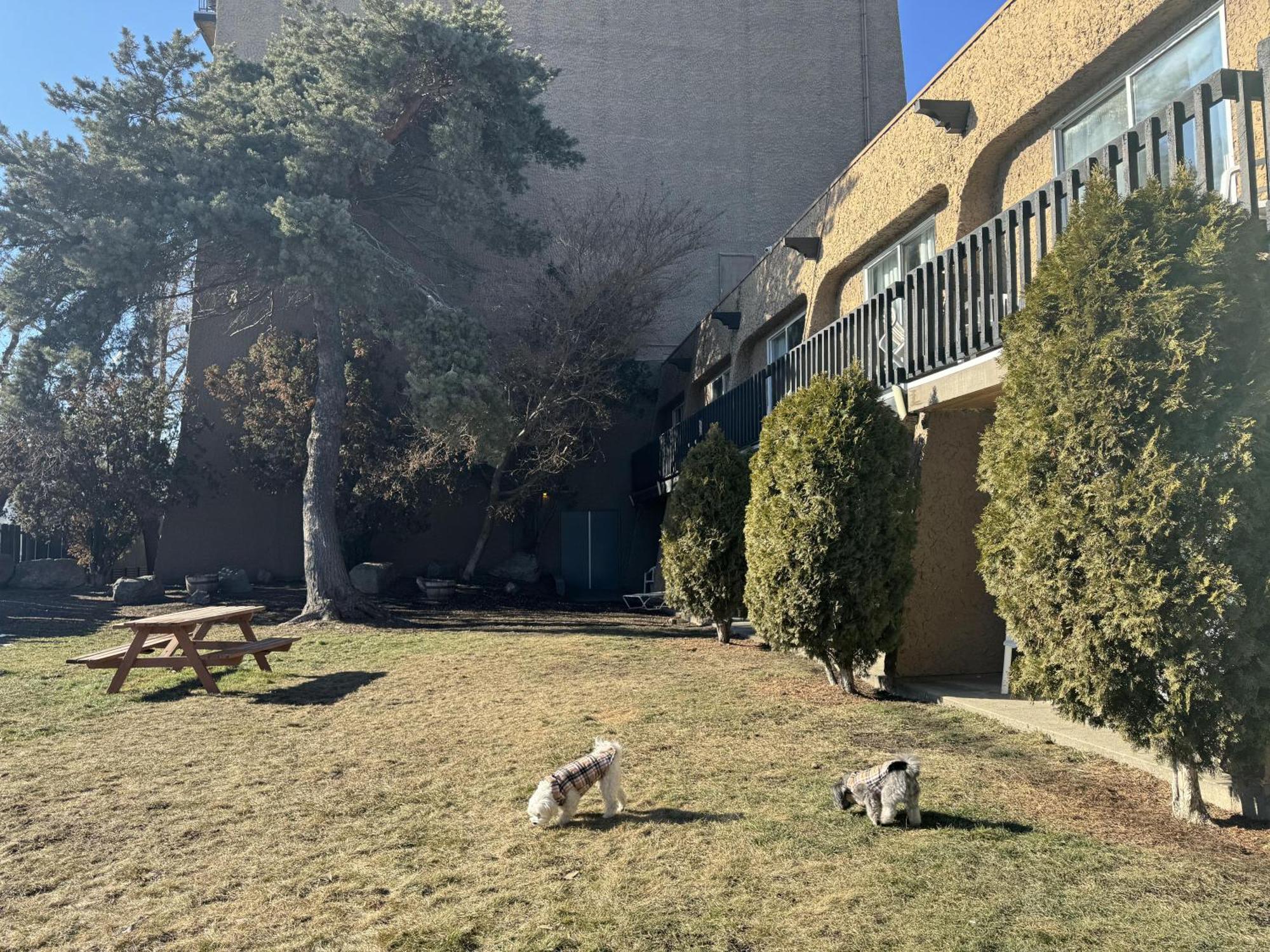 Divya Sutra Plaza And Conference Centre, Vernon, Bc Екстер'єр фото